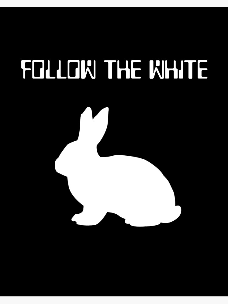 Practical Guide to the Blind Rabbit Anaheim: Discover Secrets in 2025