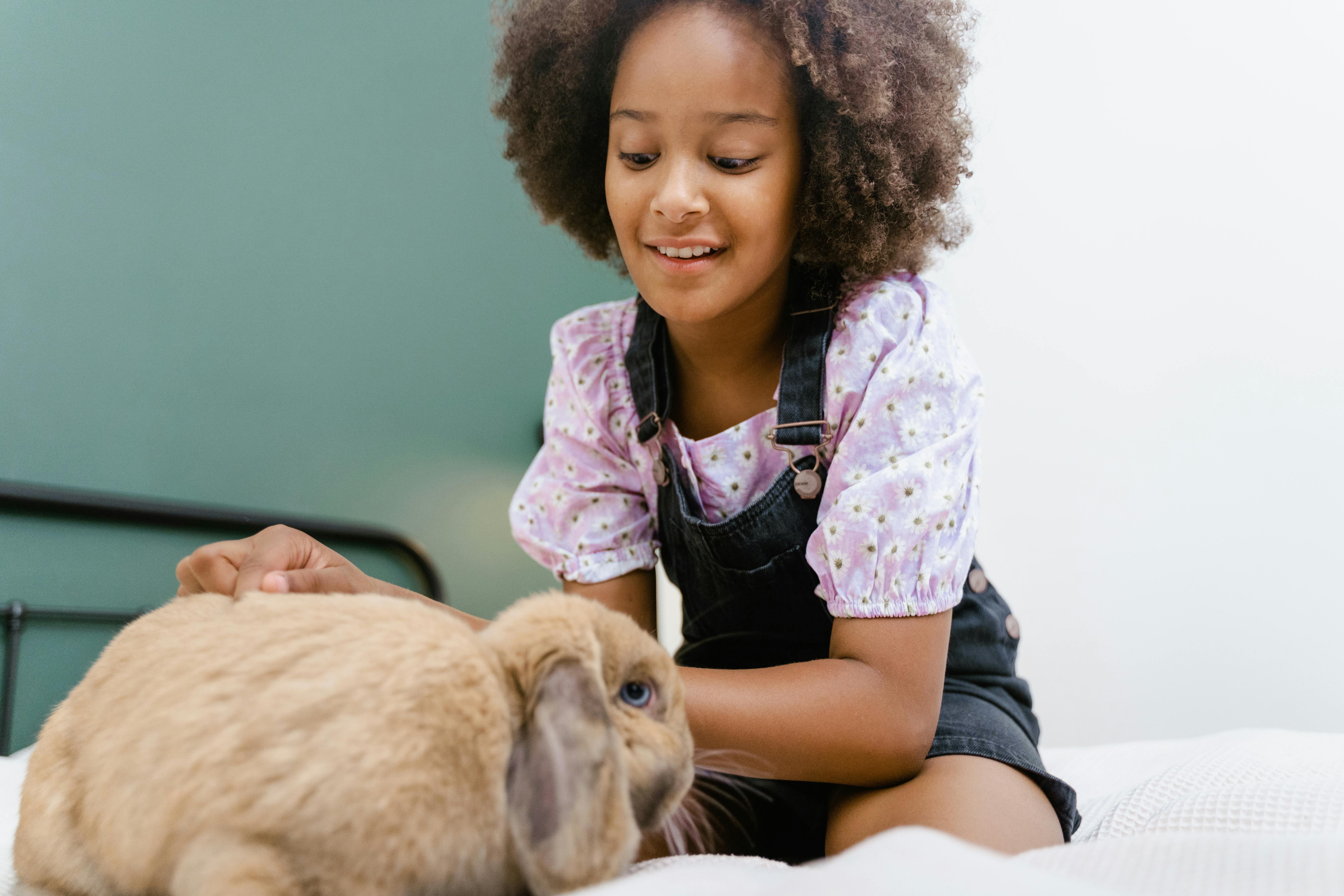 Discover the Best 5 Ways to Optimize "The Dead Rabbit" in 2025