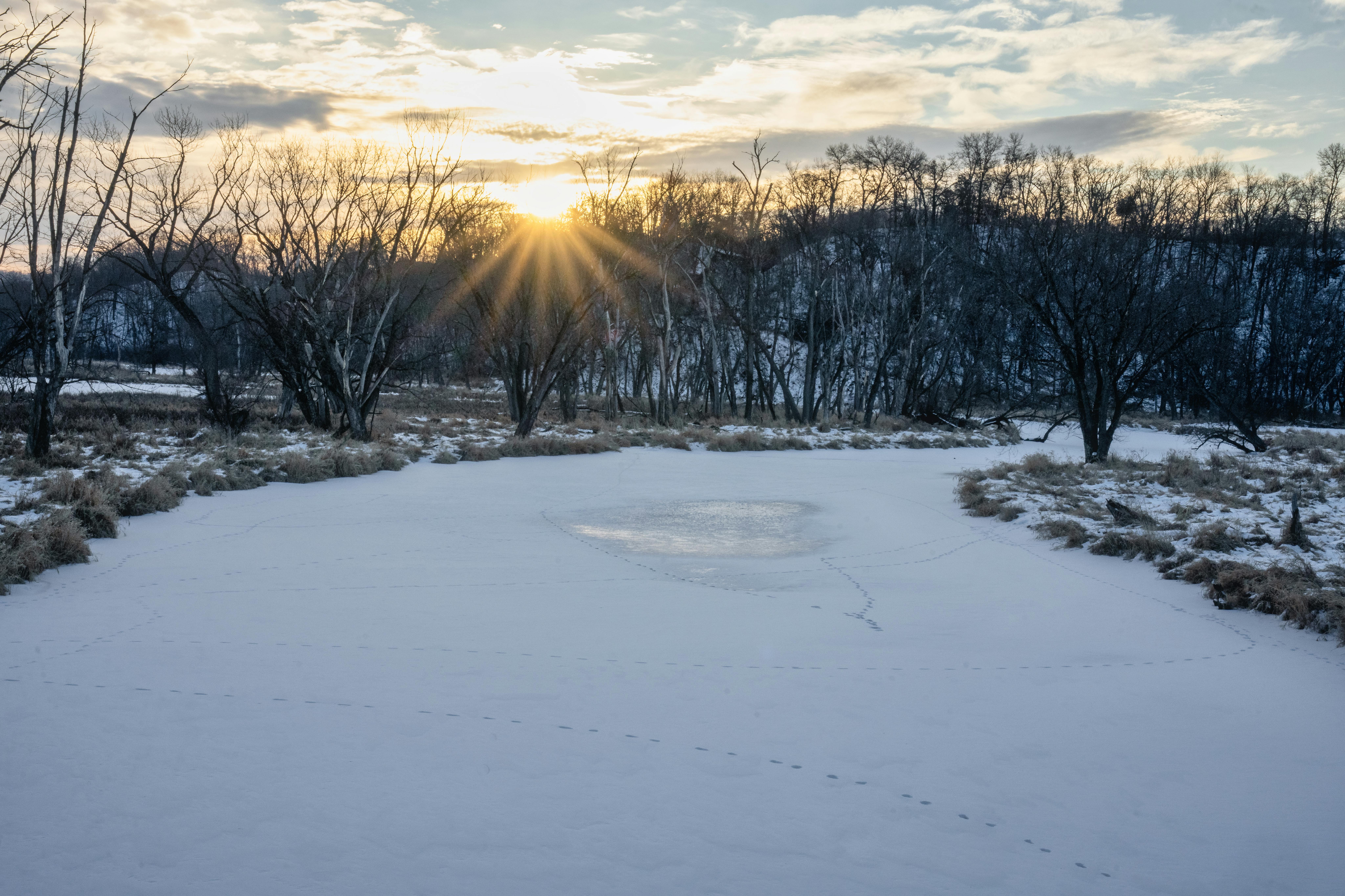 Smart Ways to Experience the Rabbit Hole in Colorado Springs 2025