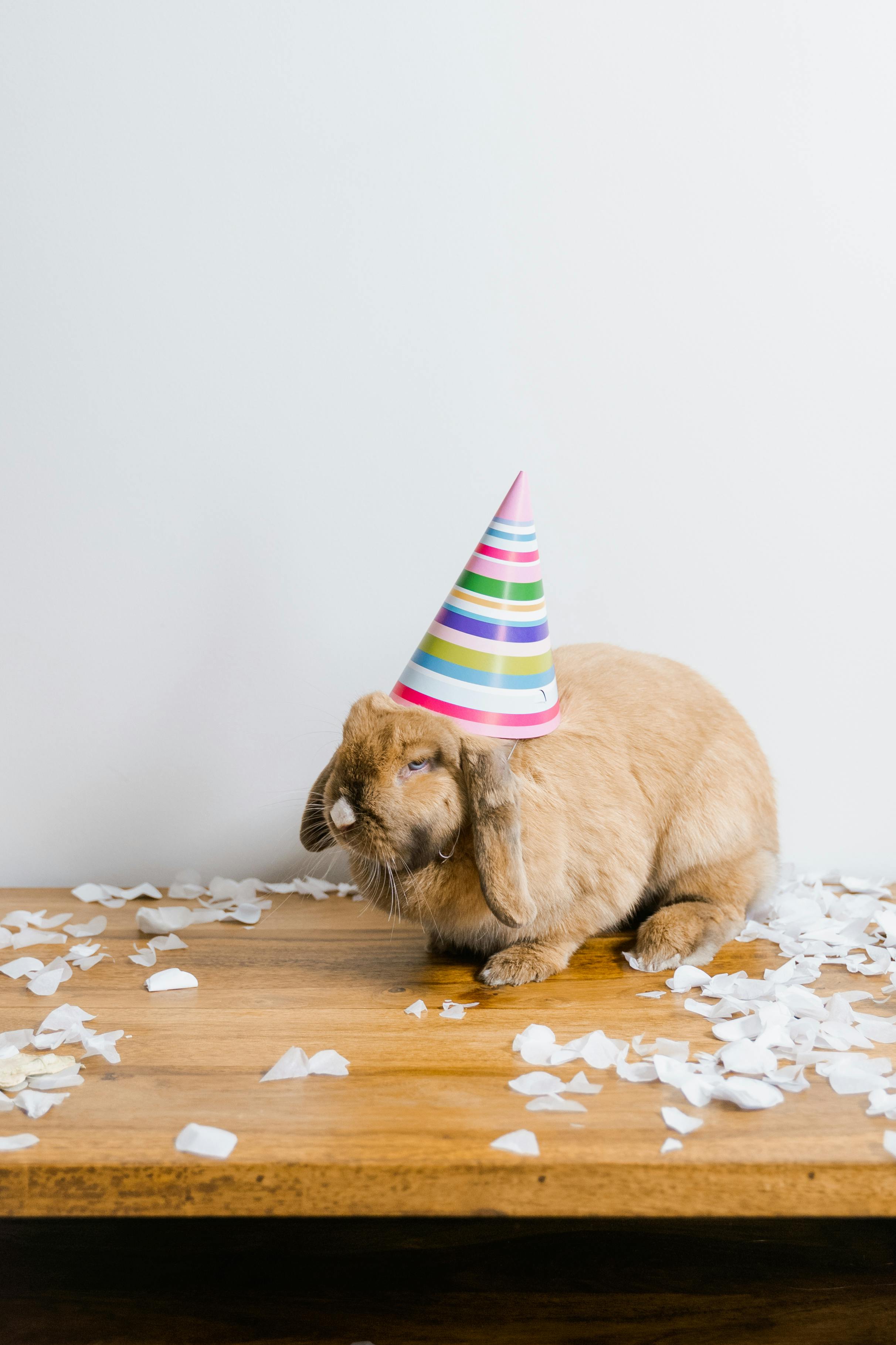 Simple Ways to Create an Effective Rabbit Drawing in 2025