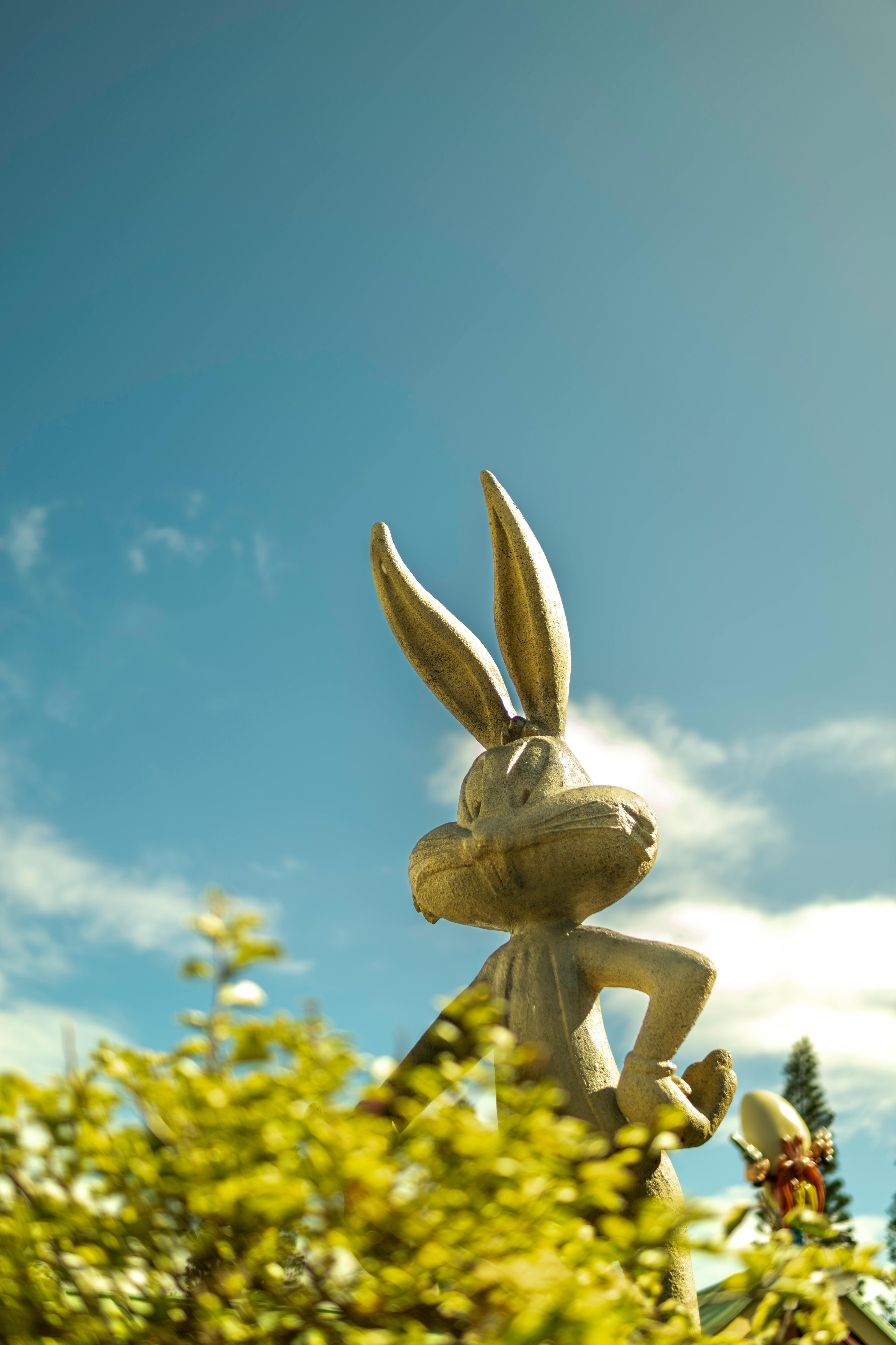 How to Better Understand "Jojo Rabbit" in 2025