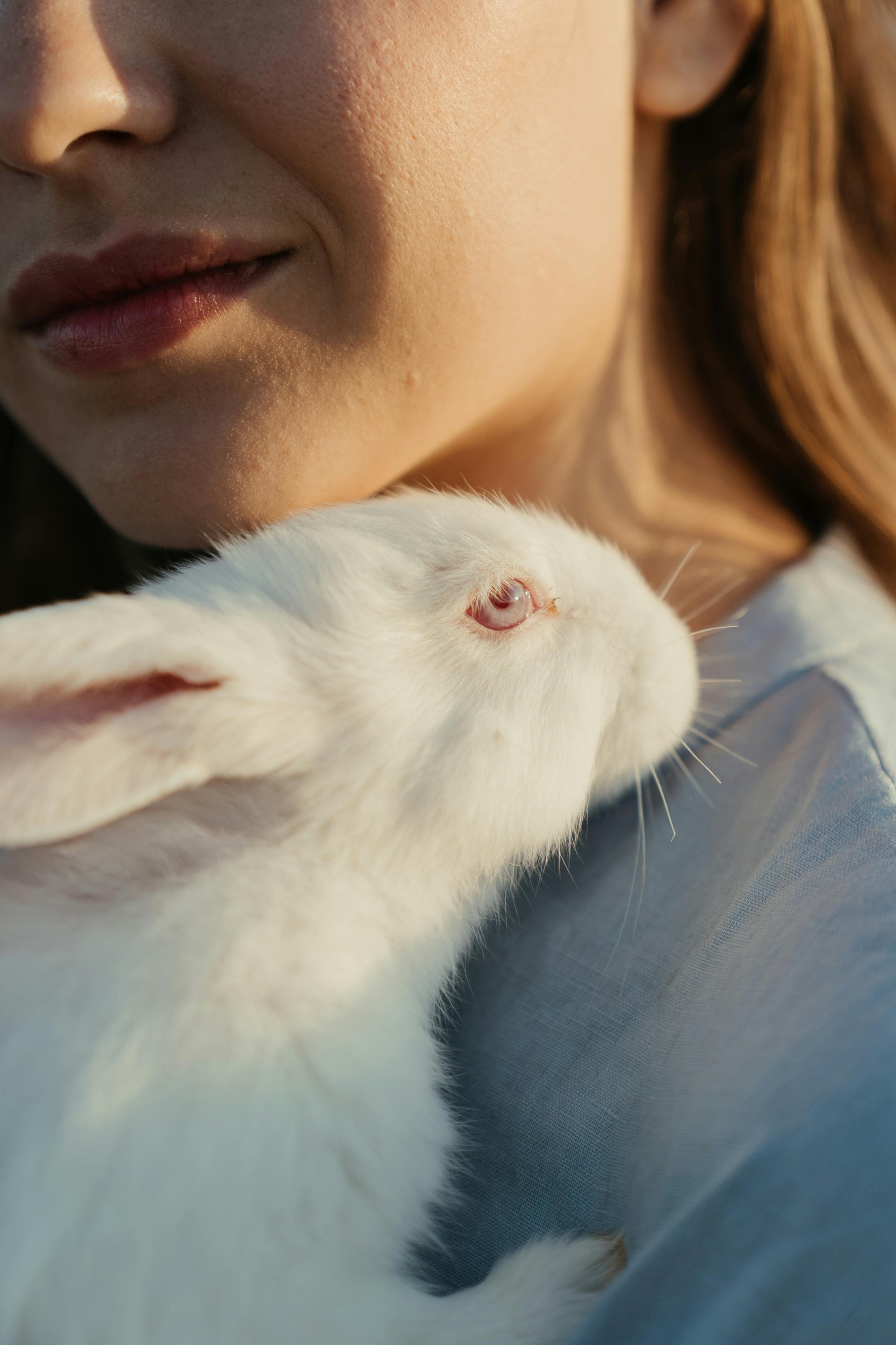 Top 5 Effective Ways to Discover the Rabbit with Antlers in 2025